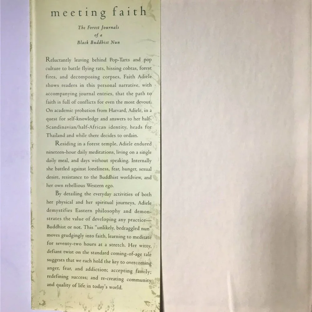 Meeting Faith by Faith Adiele
